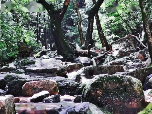 雷竞技比分